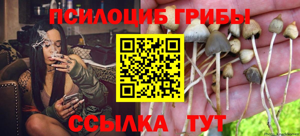 Шелехов  где продают   Вход с VPN  Галлюциногенные грибы Magic Shrooms 