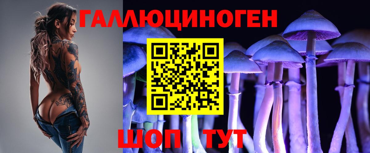 Псилоцибиновые грибы мицелий Шелехов